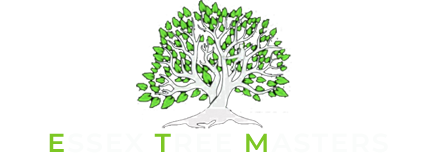 essex tree masters logo